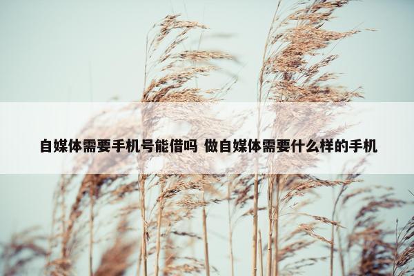 自媒体需要手机号能借吗 做自媒体需要什么样的手机