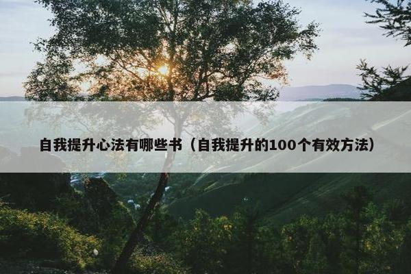 自我提升心法有哪些书（自我提升的100个有效方法）