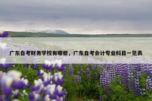 广东自考财务学校有哪些，广东自考会计专业科目一览表