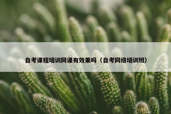 自考课程培训网课有效果吗（自考网络培训班）