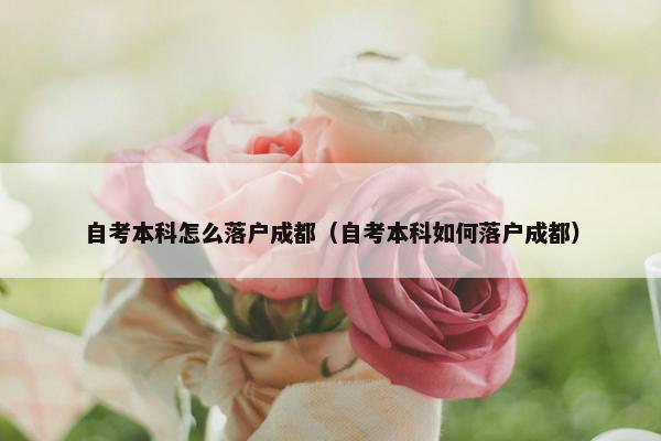 自考本科怎么落户成都（自考本科如何落户成都）