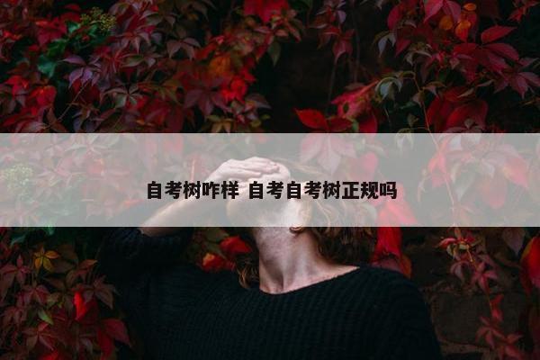 自考树咋样 自考自考树正规吗