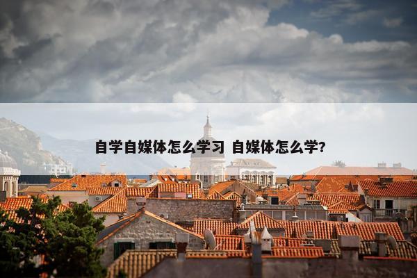 自学自媒体怎么学习 自媒体怎么学?