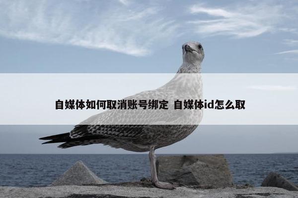 自媒体如何取消账号绑定 自媒体id怎么取