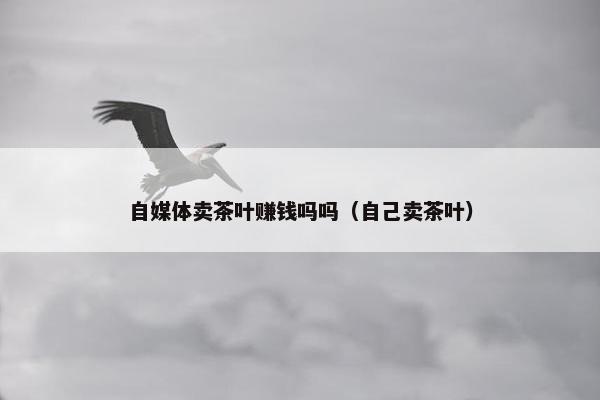 自媒体卖茶叶赚钱吗吗（自己卖茶叶）