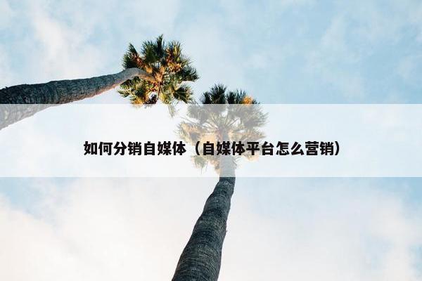 如何分销自媒体（自媒体平台怎么营销）