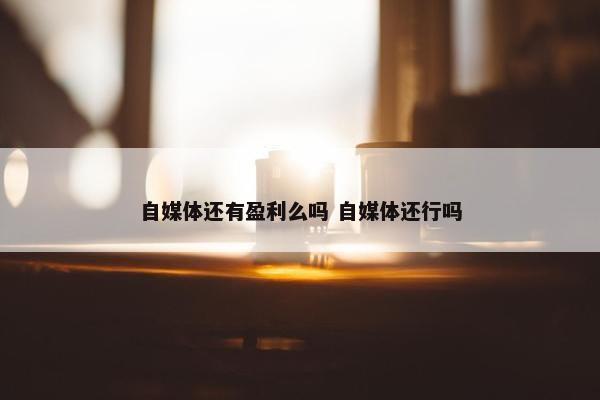 自媒体还有盈利么吗 自媒体还行吗