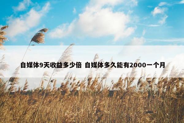 自媒体9天收益多少倍 自媒体多久能有2000一个月