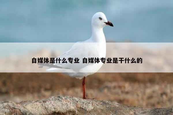 自媒体是什么专业 自媒体专业是干什么的