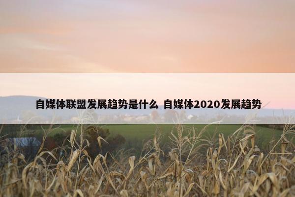 自媒体联盟发展趋势是什么 自媒体2020发展趋势