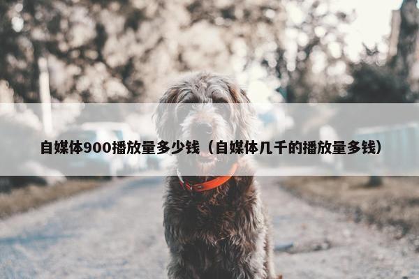 自媒体900播放量多少钱（自媒体几千的播放量多钱）