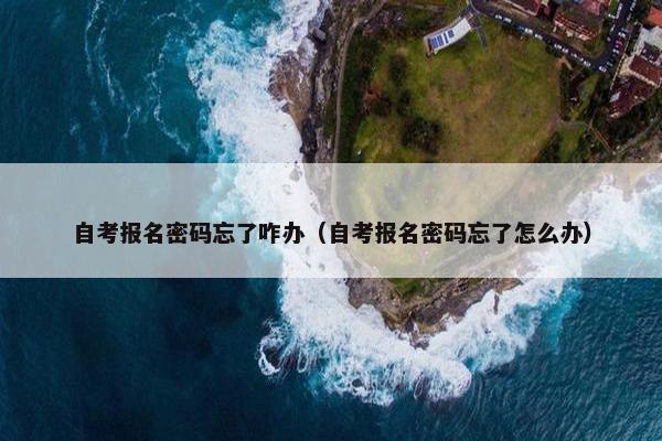 自考报名密码忘了咋办（自考报名密码忘了怎么办）