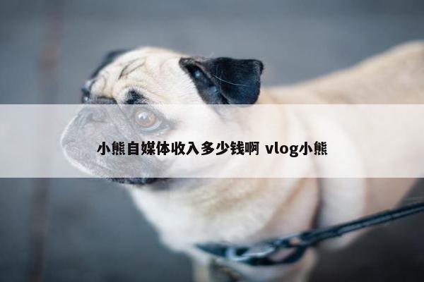 小熊自媒体收入多少钱啊 vlog小熊