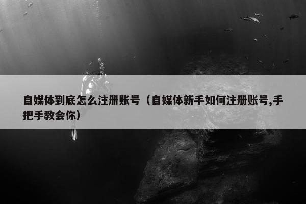 自媒体到底怎么注册账号（自媒体新手如何注册账号,手把手教会你）