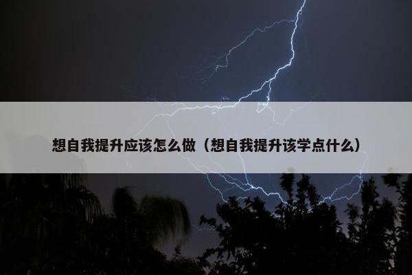 想自我提升应该怎么做（想自我提升该学点什么）