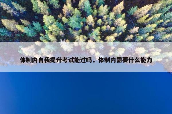 体制内自我提升考试能过吗，体制内需要什么能力