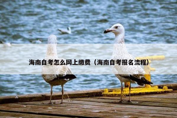 海南自考怎么网上缴费（海南自考报名流程）