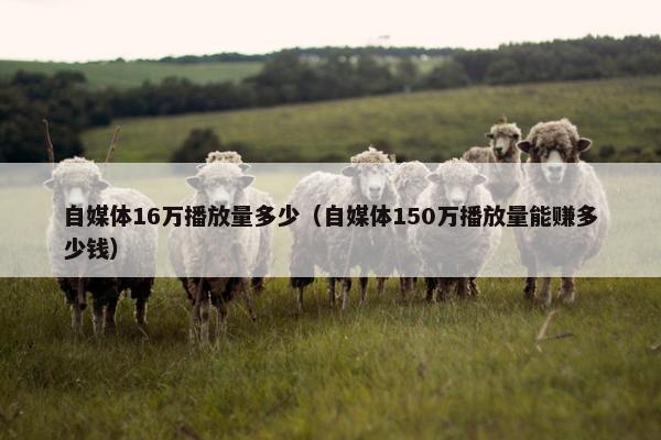 自媒体16万播放量多少（自媒体150万播放量能赚多少钱）