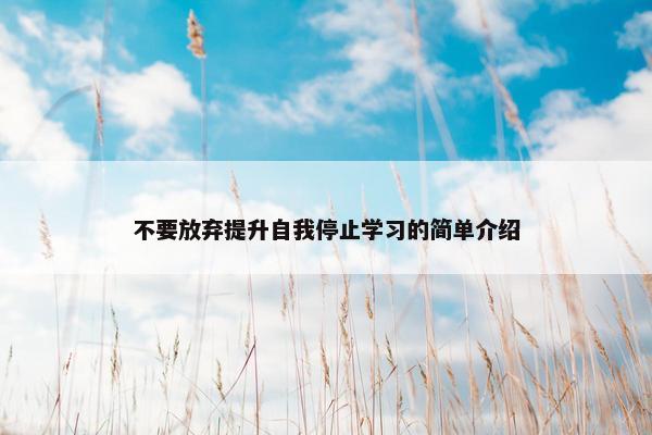 不要放弃提升自我停止学习的简单介绍