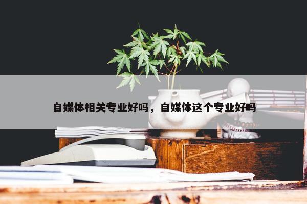 自媒体相关专业好吗，自媒体这个专业好吗