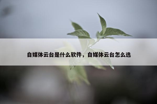 自媒体云台是什么软件，自媒体云台怎么选