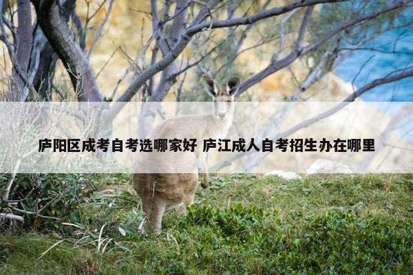 庐阳区成考自考选哪家好 庐江成人自考招生办在哪里