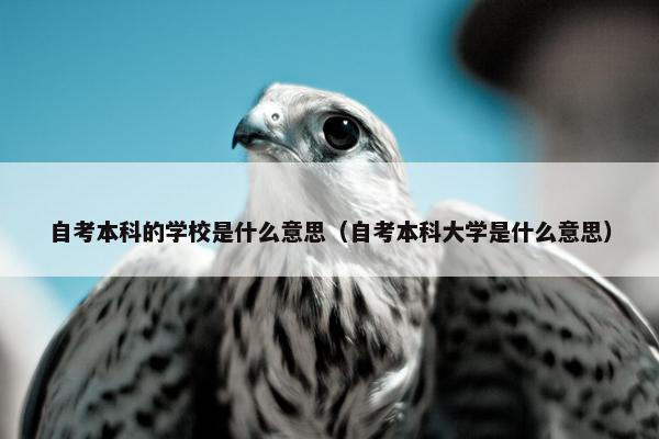 自考本科的学校是什么意思（自考本科大学是什么意思）