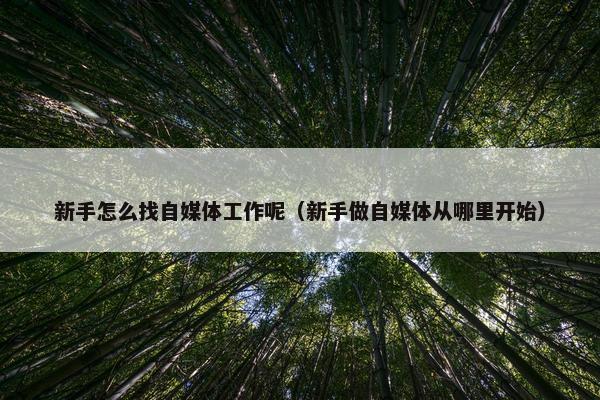 新手怎么找自媒体工作呢（新手做自媒体从哪里开始）