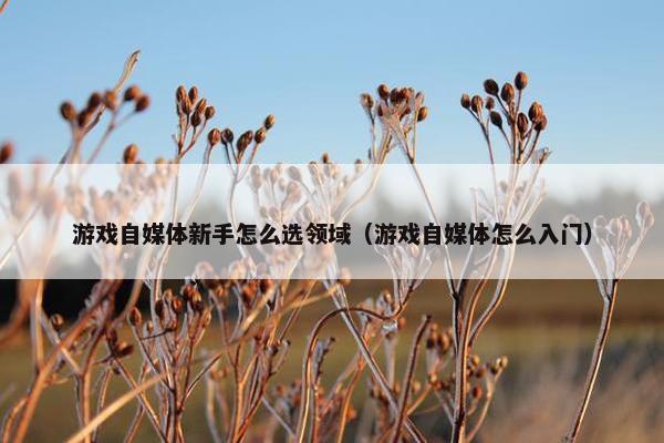 游戏自媒体新手怎么选领域（游戏自媒体怎么入门）