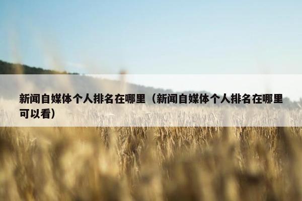 新闻自媒体个人排名在哪里（新闻自媒体个人排名在哪里可以看）