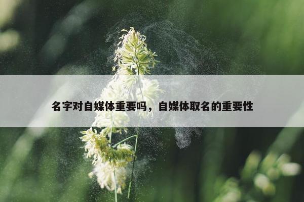 名字对自媒体重要吗，自媒体取名的重要性