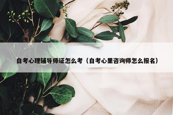 自考心理辅导师证怎么考（自考心里咨询师怎么报名）