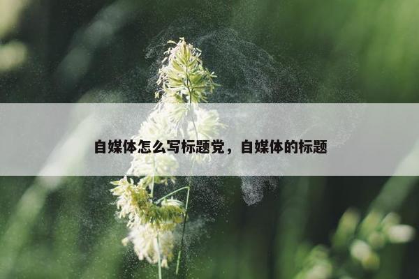 自媒体怎么写标题党，自媒体的标题