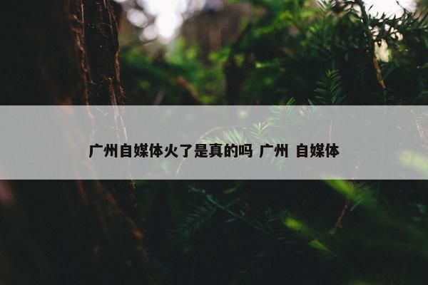 广州自媒体火了是真的吗 广州 自媒体