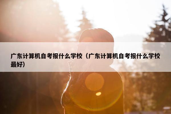 广东计算机自考报什么学校（广东计算机自考报什么学校最好）