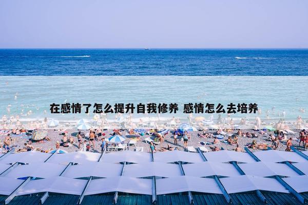 在感情了怎么提升自我修养 感情怎么去培养