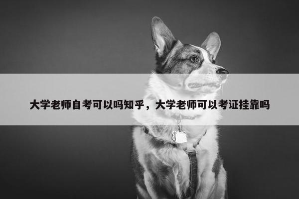 大学老师自考可以吗知乎，大学老师可以考证挂靠吗