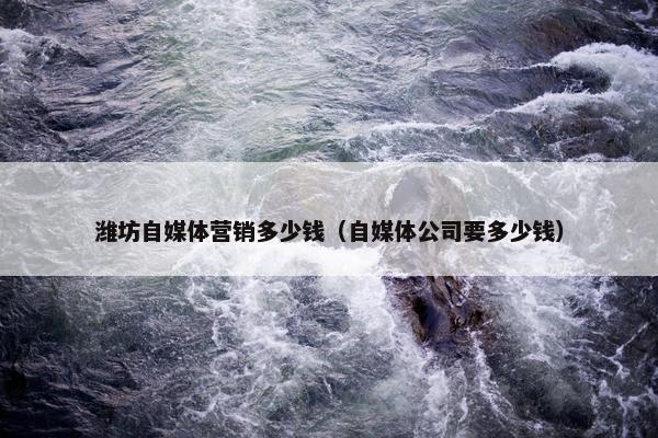 潍坊自媒体营销多少钱（自媒体公司要多少钱）