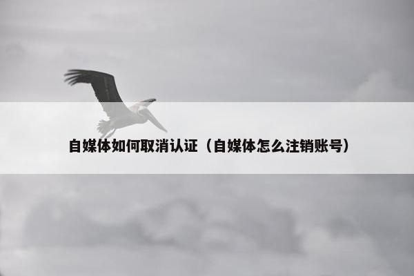 自媒体如何取消认证（自媒体怎么注销账号）