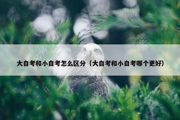 大自考和小自考怎么区分（大自考和小自考哪个更好）