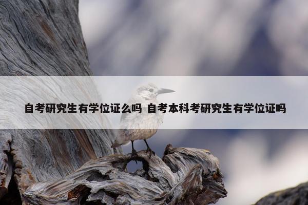 自考研究生有学位证么吗 自考本科考研究生有学位证吗