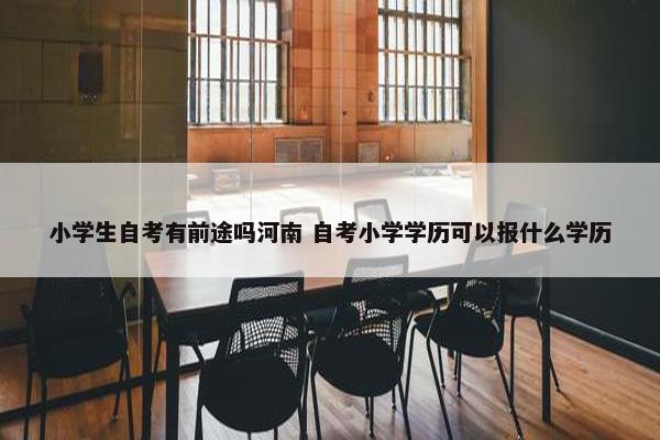 小学生自考有前途吗河南 自考小学学历可以报什么学历