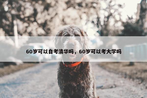 60岁可以自考清华吗，60岁可以考大学吗