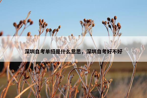 深圳自考单招是什么意思，深圳自考好不好