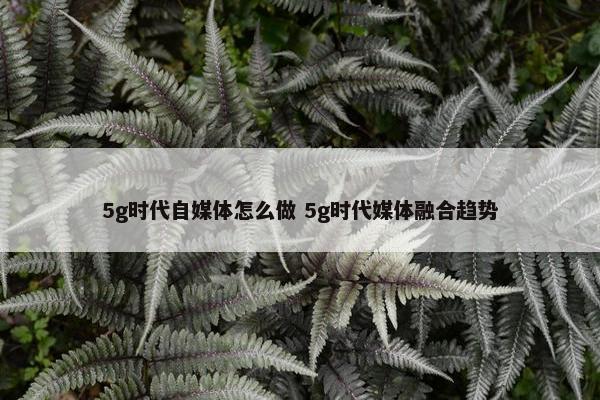 5g时代自媒体怎么做 5g时代媒体融合趋势