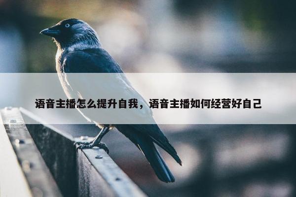 语音主播怎么提升自我，语音主播如何经营好自己