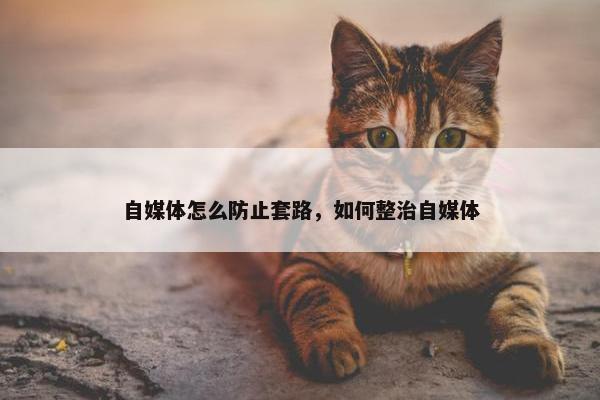 自媒体怎么防止套路，如何整治自媒体