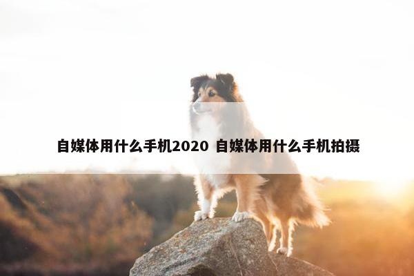 自媒体用什么手机2020 自媒体用什么手机拍摄