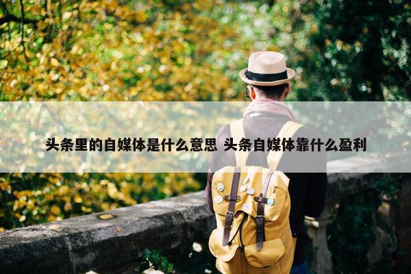 头条里的自媒体是什么意思 头条自媒体靠什么盈利