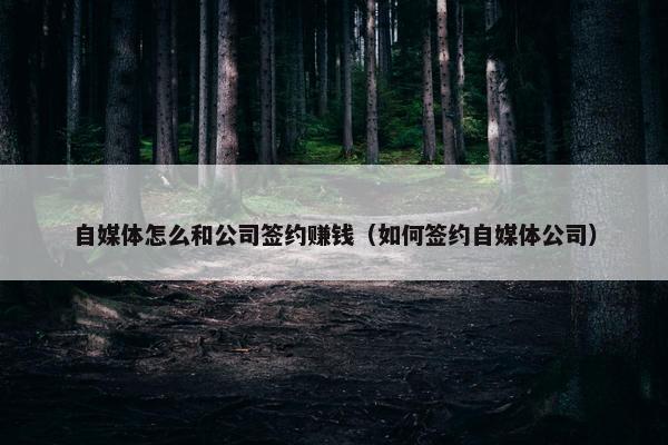 自媒体怎么和公司签约赚钱（如何签约自媒体公司）